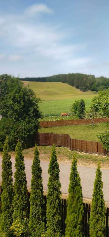 Zielona Dolina Villa Rutka-Tartak ภายนอก รูปภาพ